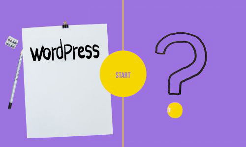 vignette-quiz-wordpress