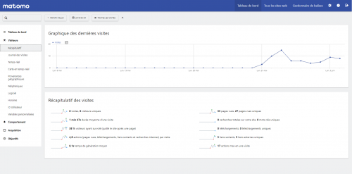 matomo-interface-visitors