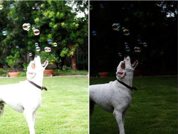 Capture d’écran 2024-02-29 à 08.35.02