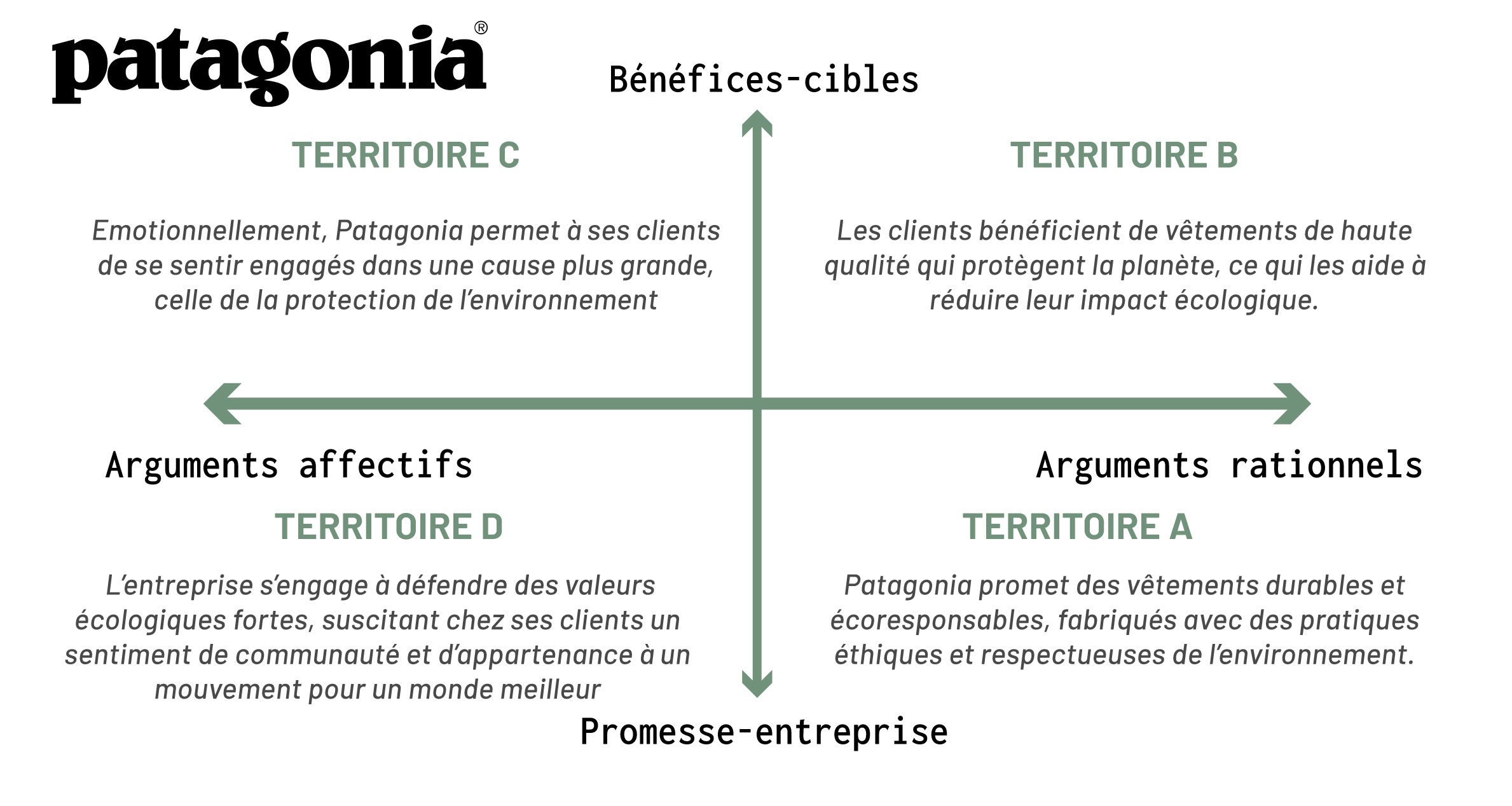 mapping-positionnement-patagonia
