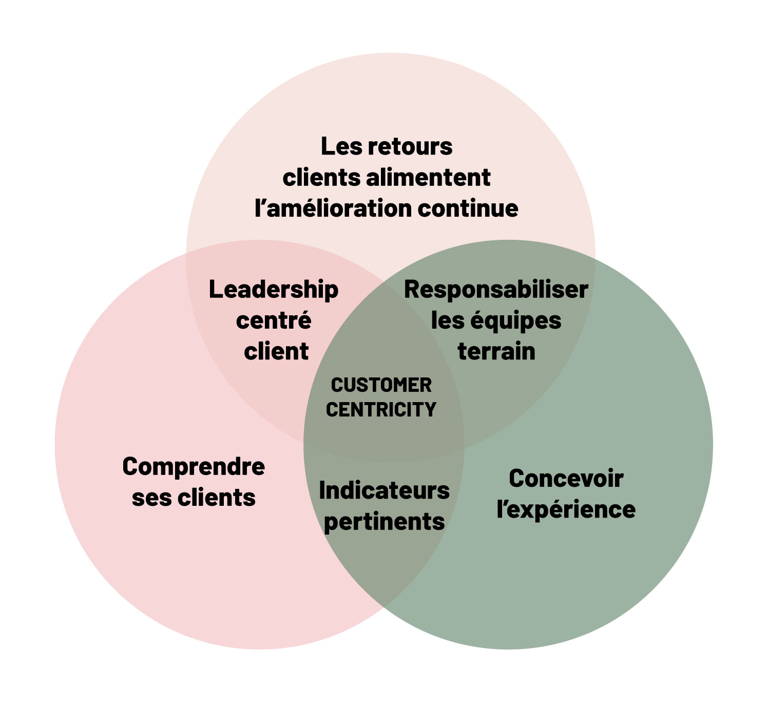 schema-customer-centric